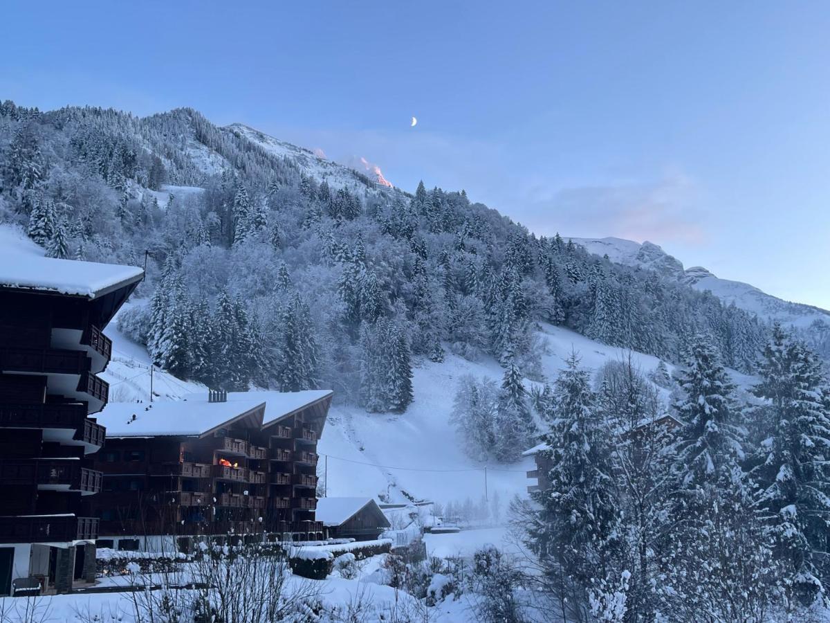 Mountain River Appart Val dʼIlliez Екстериор снимка